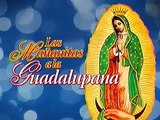 MANANITAS A LA GUADALUPANA ,, A LA VIRGUEN DE GUADALUPE .MOVI0005 part 1/3