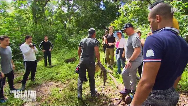 The Island : 30 millions d'amis appelle au boycott de l'émission après la diffusion d'une séquence polémique