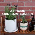 Use your garden to create amazing skin care products ✨Check out more projects in the My Garden App: