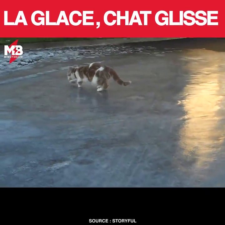 Mais pourquoi j'ai froid aux Pattes ? Et pourquoi ça glisse ?  via storyful
