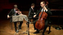 Anton Dvorak | Trio pour piano et cordes n° 4 en mi mineur op. 90 