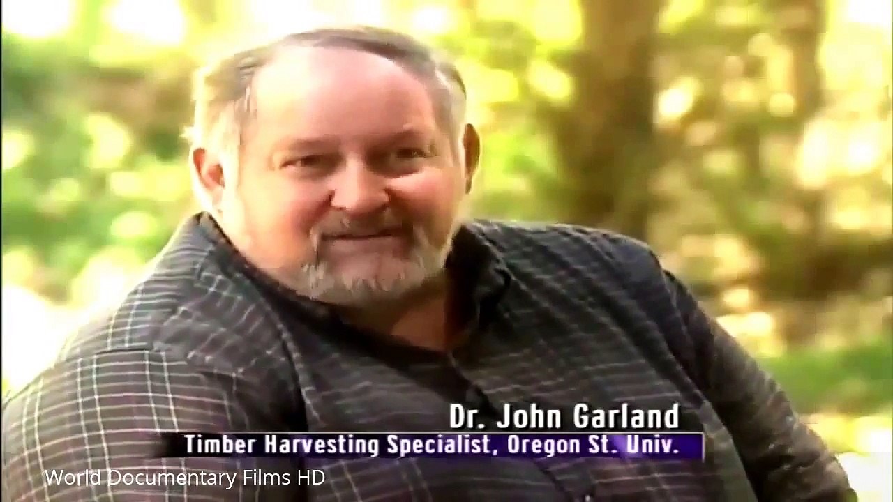 Timber and logging technology