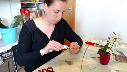Rumes: Marike crée des bijoux avec des fleurs