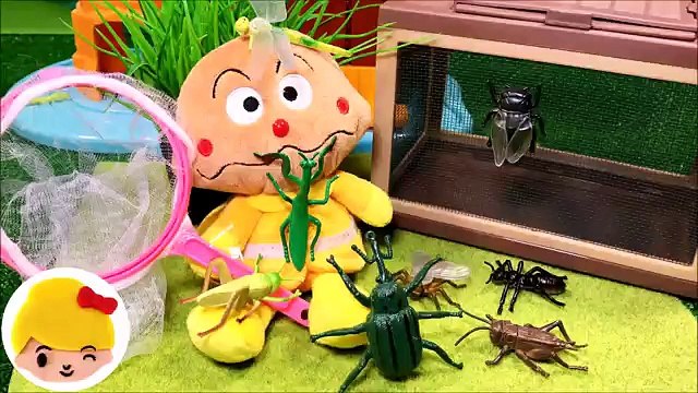 アンパンマン 虫とりにきたよ～！秋の虫はいるかな～？ ❤️ 虫捕り網 虫カゴ 昆虫 クリームパンダ カレーパンマン カマキリ セミ おもちゃ アニメ トイ キッズ animation anpanman