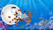 Learn Colors for Kids with PACMAN 3D Cartoon and Seahorse Water Animals Learning Videos for Childre