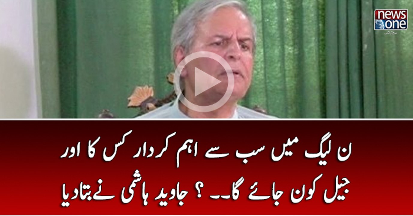 PMLN Main Sab Say Eham Kirdar Kis Ka Aur Jail Kon Jaye Ga...? Javed Hashmi Nay Bata Diya