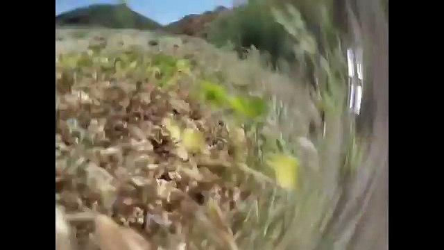 Consequences of not understanding Counter-steering on a motorcycle