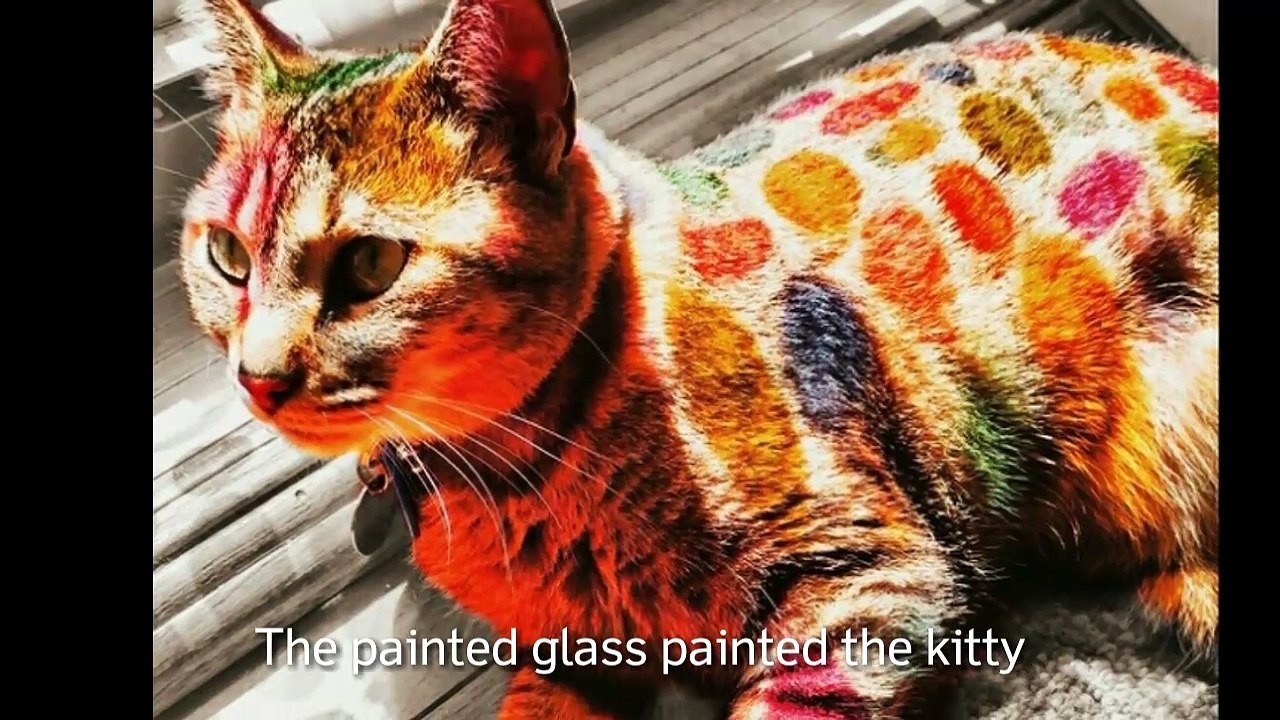 17+ Marvelous Sights Where Art and Real Life Collide