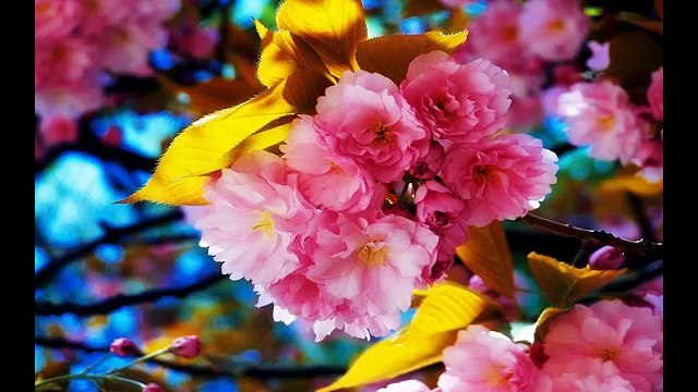 21 июня ДЕНЬ ЛЕТНЕГО СОЛНЦЕСТОЯНИЯ Волшебный день