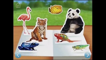 Zoo Animals ~ Touch, Look, Listen - iPad app demo for kids - Ellie