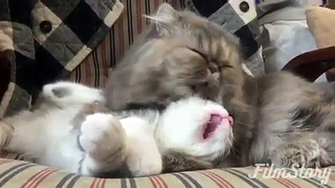 Teo tinh hoàn có chữa được không