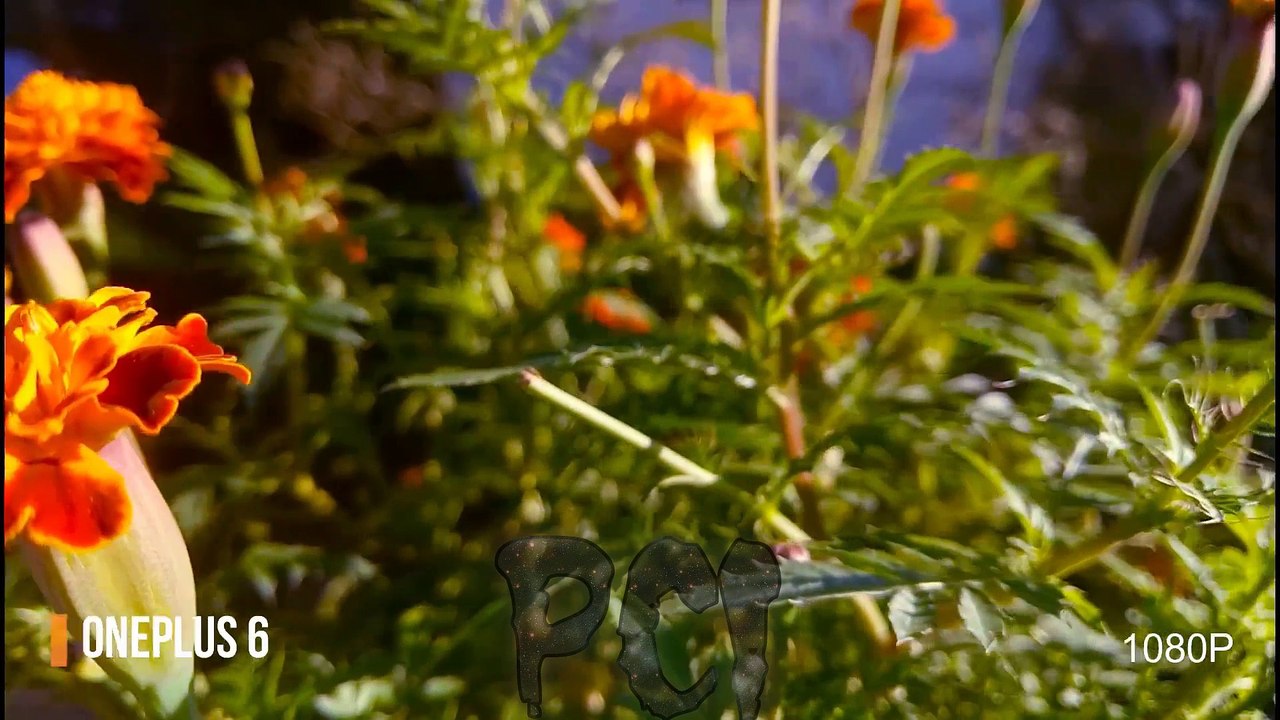 OnePlus 6 VS Samsung Galaxy S9 Plus Camera Test 2018