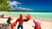 Peppa Pig e Homem Aranha Desenho Animado em Português Completo Spider man Cartoon