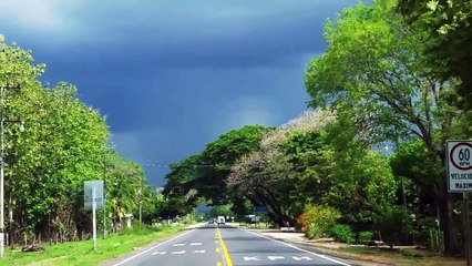 Cool things we see in Costa Rica #5