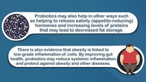 Can Probiotics Help You Lose Weight and Belly Fat?