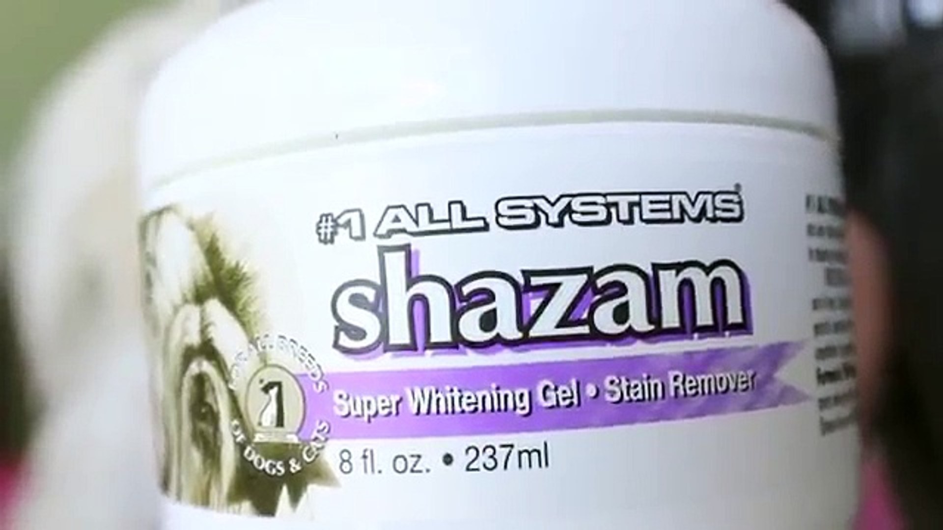 shazam dog tear stain remover
