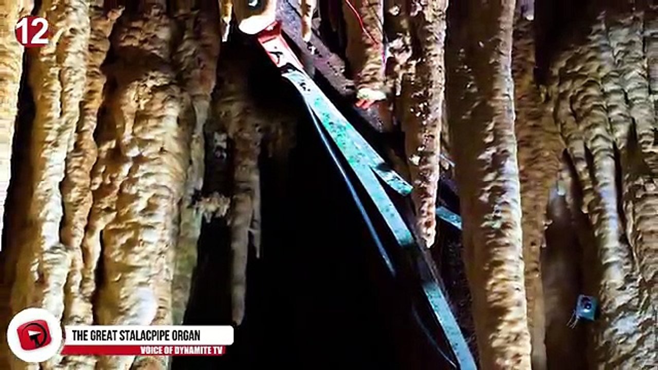 18 Weirdest Instruments of All Time