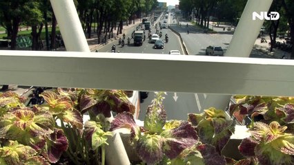 Ngắm cầu vượt bộ hành hơn 11 tỉ đồng đẹp nhất TP HCM