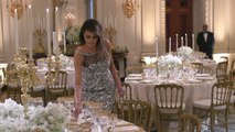 First Lady Melania Trump Stuns At State Dinner