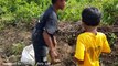 Amazing Two Brothers Catch Three Snakes by Digging Hole - How To Catch Snake by Cowboys