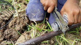 Amazing Smart Little Boy Catch Big Snakes Using Fan Guard Trap (Part 5)