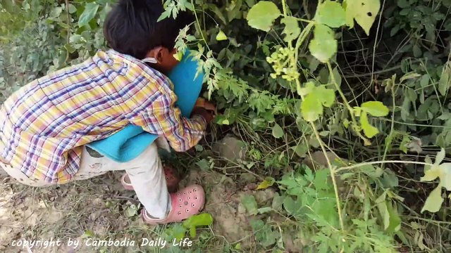 Terrifying!! Two Brothers Catch Extremely Big Snake While Driving Hand Tractor