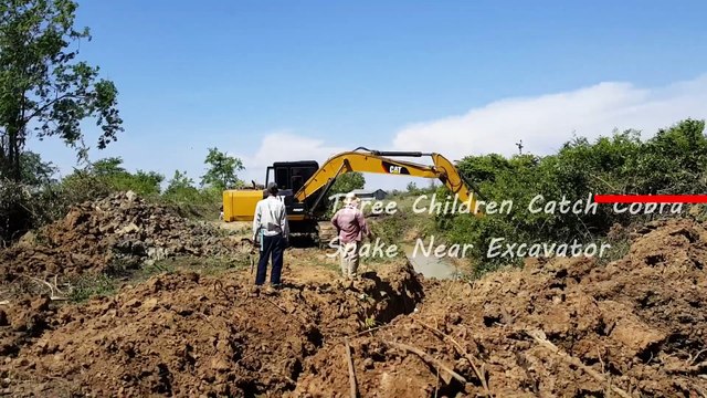 Top 10 Amazing Catch Big Cobra Snakes Viral Videos 2017 Near Excavators and Tractors,Hand Tractor