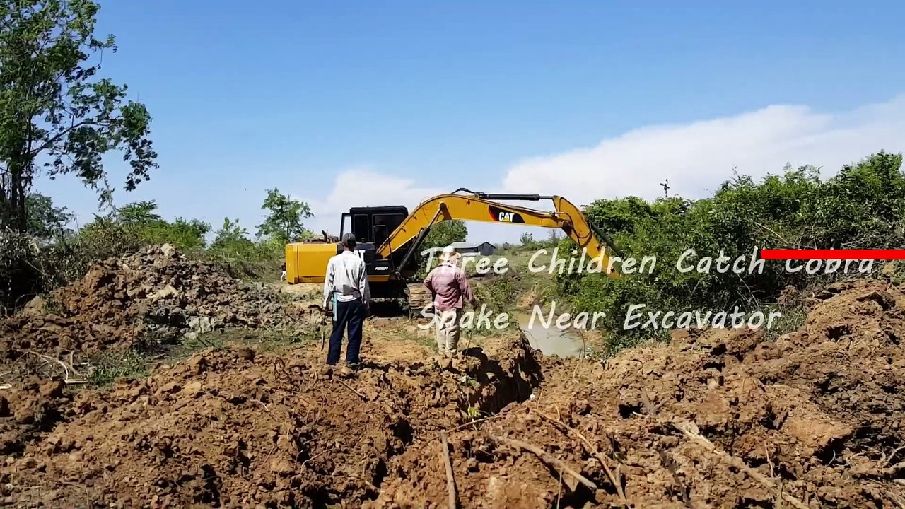 Top 10 Amazing Catch Big Cobra Snakes Viral Videos 2017 Near Excavators and Tractors,Hand Tractor