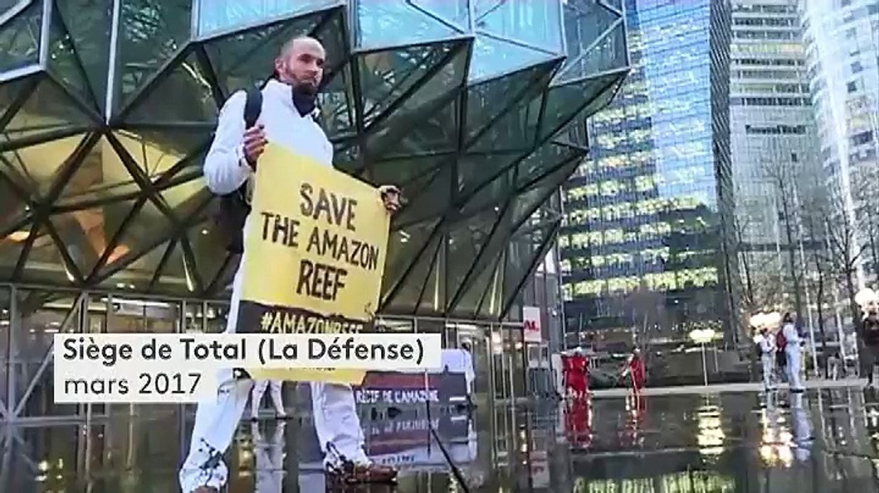 Banderoles, feux d'artifice et tribunal : quand Greenpeace mène des opérations coups de poing en France