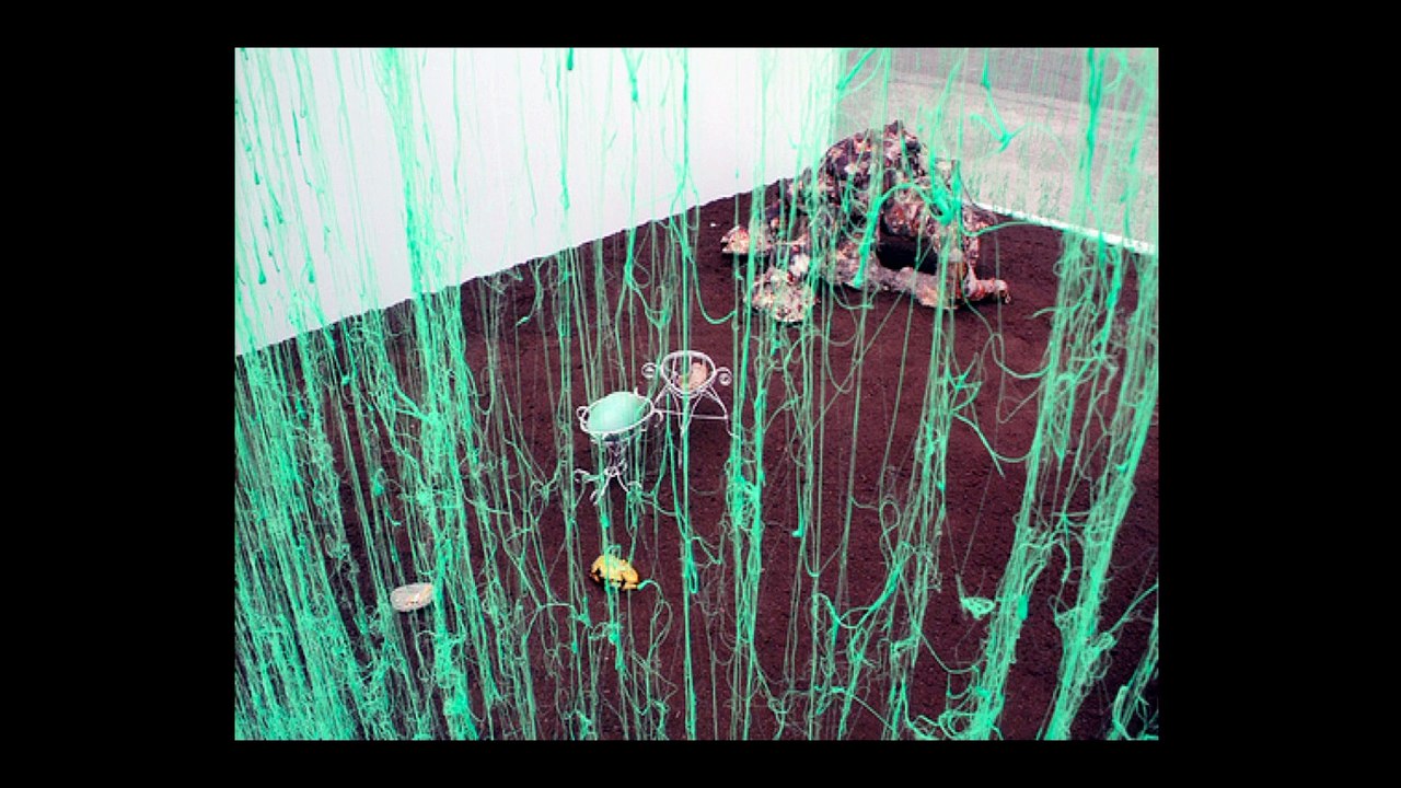 Les pieds dans le rideau - Histoire de l’art à travers le rideau