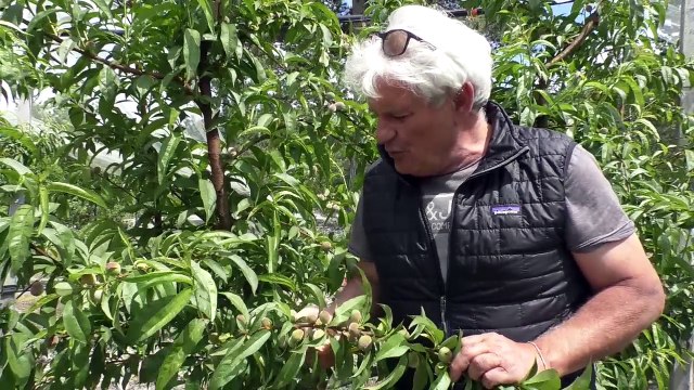 Hautes-Alpes : les exploitations du Marché Paysan reprennent des couleurs