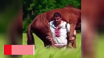 Atı sırtında taşıyan adam hayrete düşürdü