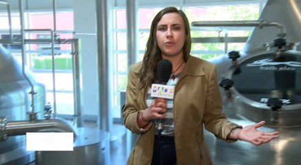 New Brewery comes to Bristol