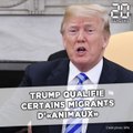 Donald Trump qualifie certains migrants d'«animaux»