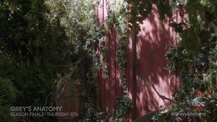 Grey's Anatomy -  saison 14-  14x24  - un extrait du mariage de Jo et Alex (VO)