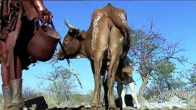 Himba Tribe | Tribes - Planet Doc Full Documentaries
