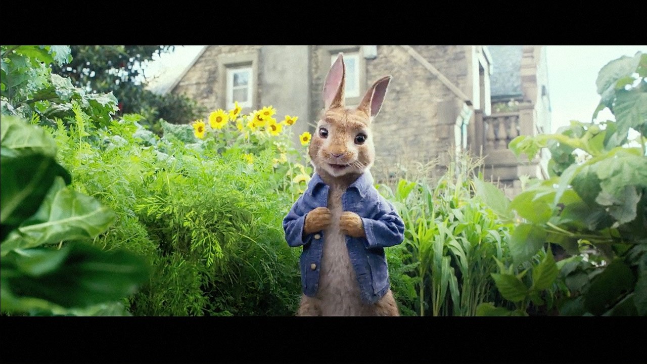 Peter Rabbit full movie | online hd