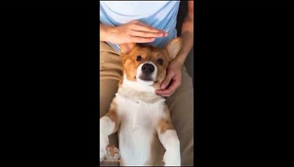 인터넷카지노사이트 ( 【只 CARD328。CoM 只】 ) 바카라사이트