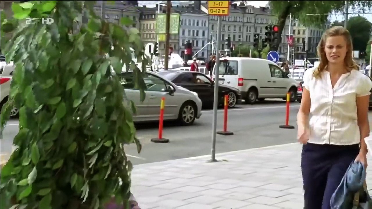 Inga Lindström Zwei Ärzte und die Liebe Melodram D 2010 HD Liebesfilm part 2/3