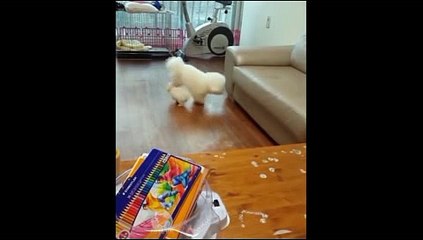 온라인카지노사이트 ( 【只 CARD328。CoM 只】 ) 인터넷카지노사이트