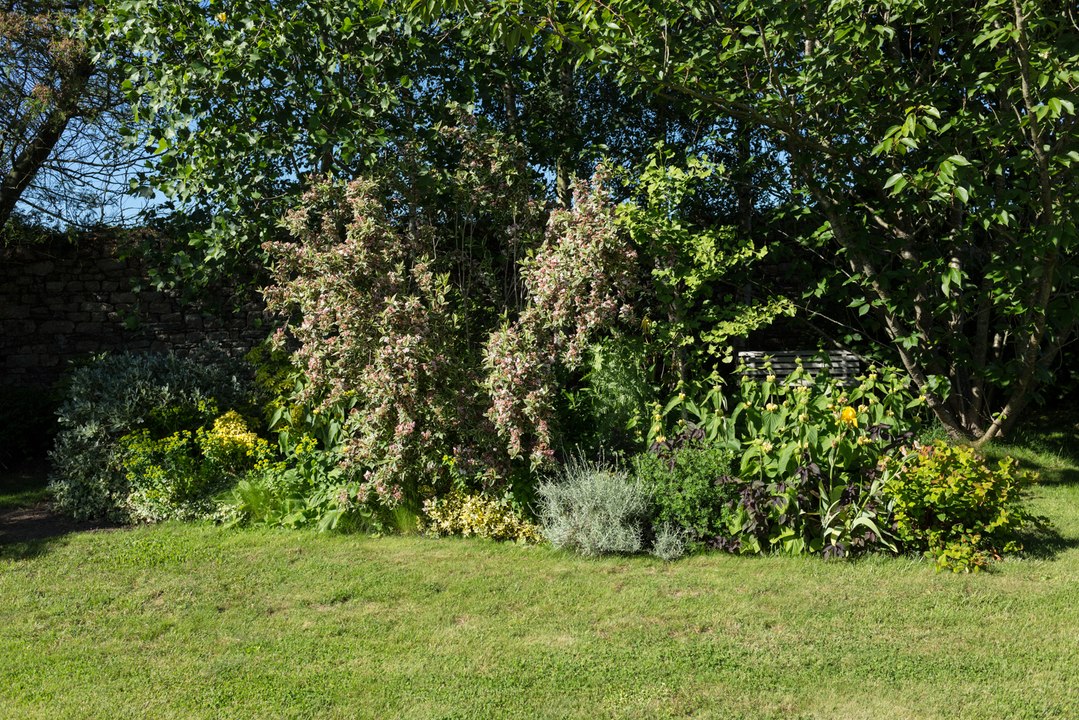 Jardin-mai2018