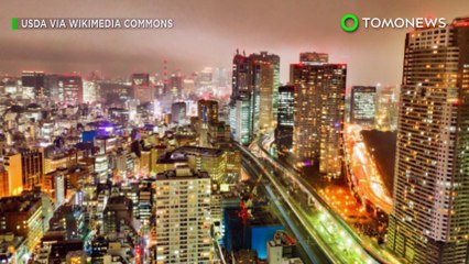 일본 섬 근처 해저에서 희귀광물 다량 발견