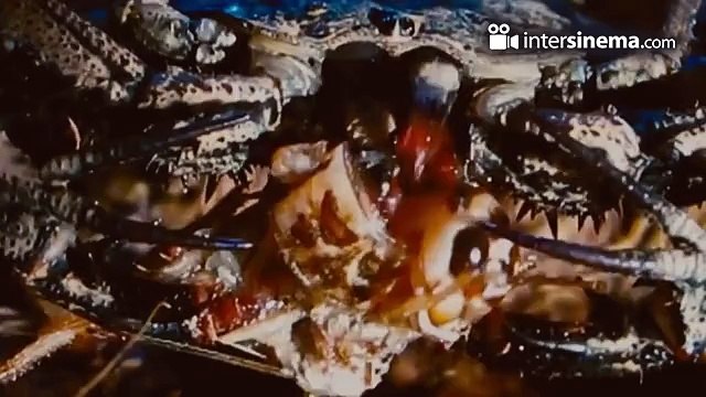 Üç Harfliler: Beddua - Fragman