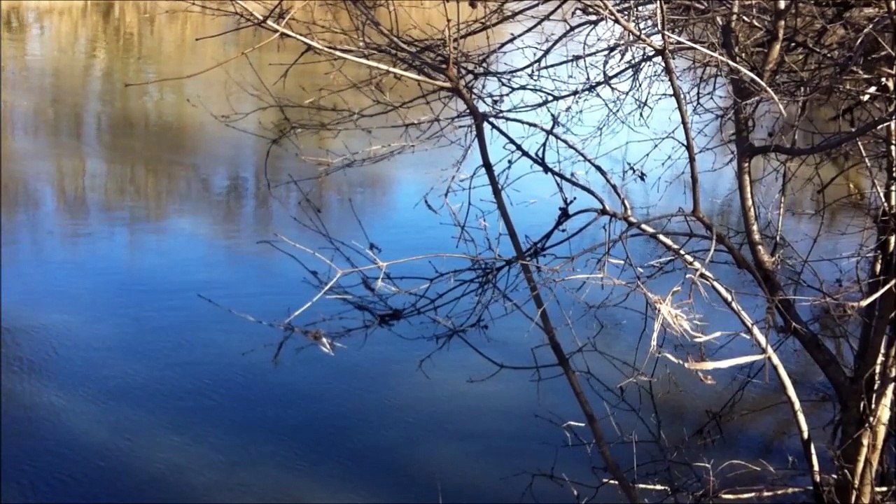 Nature Walk| Vlog 4