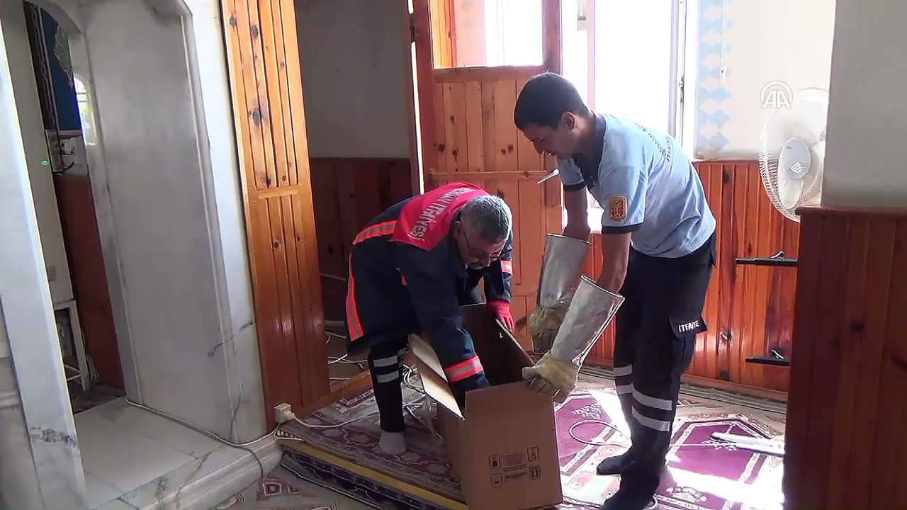 Camide yuva yapan kedi ve yavruları barınakta - MERSİN