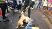 Cachorro protege dono caído no meio da rua e chama a atenção da população