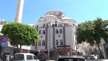 Camide Yuva Yapan Kedi ve Yavruları Barınakta