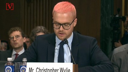 Bannon and Cambridge Analytica Plotted Black Voter Suppression, Whistleblower Claims