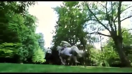 หนังเล่นไพ่ มันส์ คนตัดคน ภาคพิเศษ 2 เกาจิ้งตัดเอง HD part 1/4