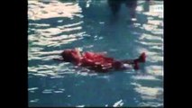 Une vidéo sur les bébés nageurs en 73 choque les internautes